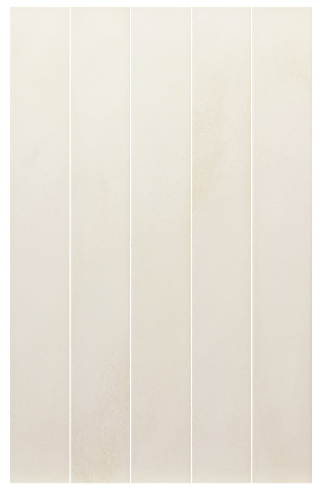 Equipe colour — Bone