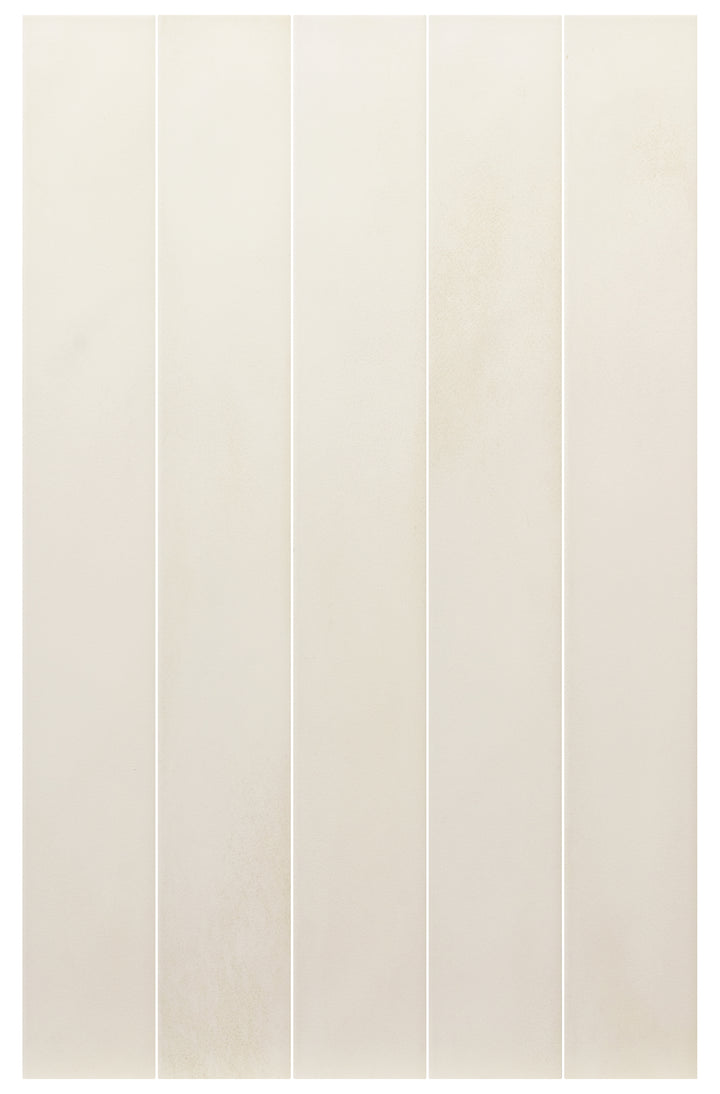 Equipe colour — Bone