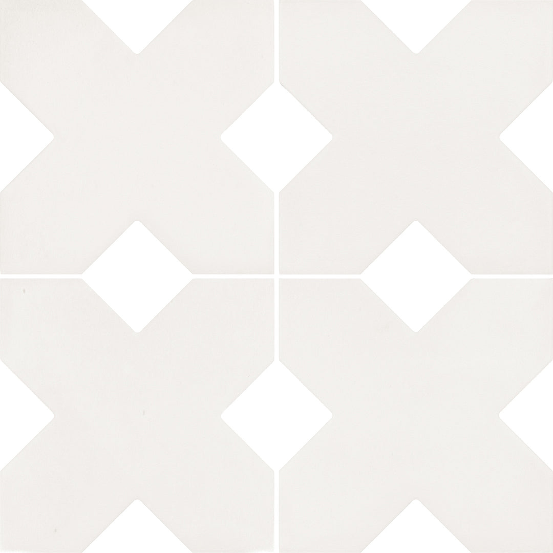 Equipe colour — Bone
