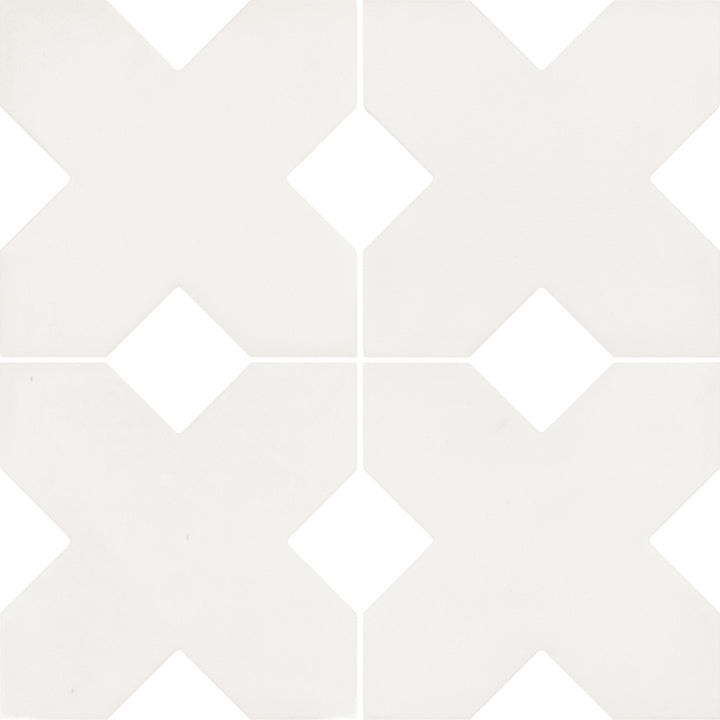 Equipe colour — Bone