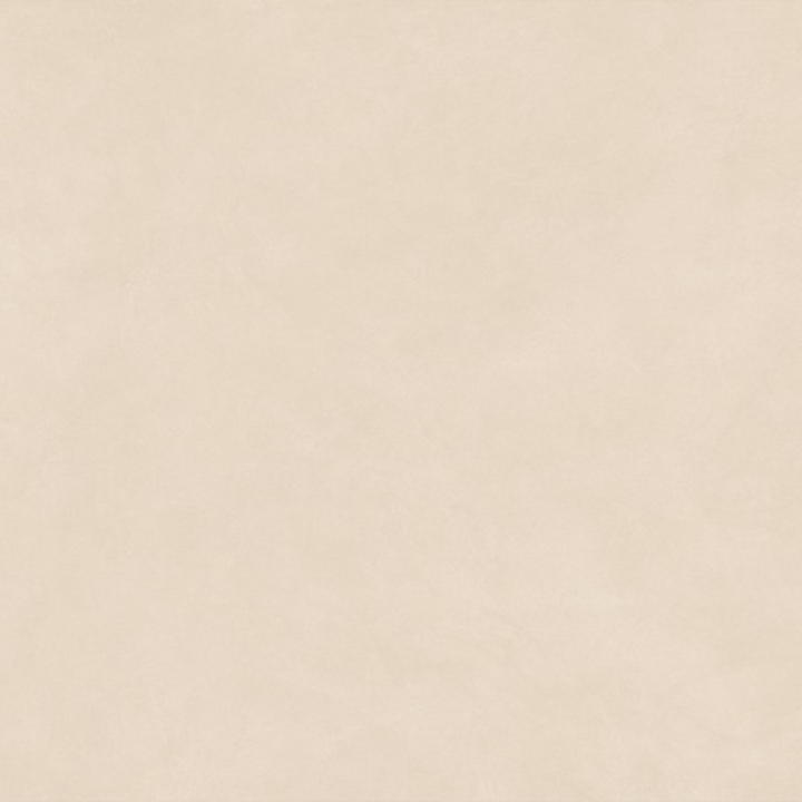 Boost Natural ANTI-SLIP Porcelain Floor Tile