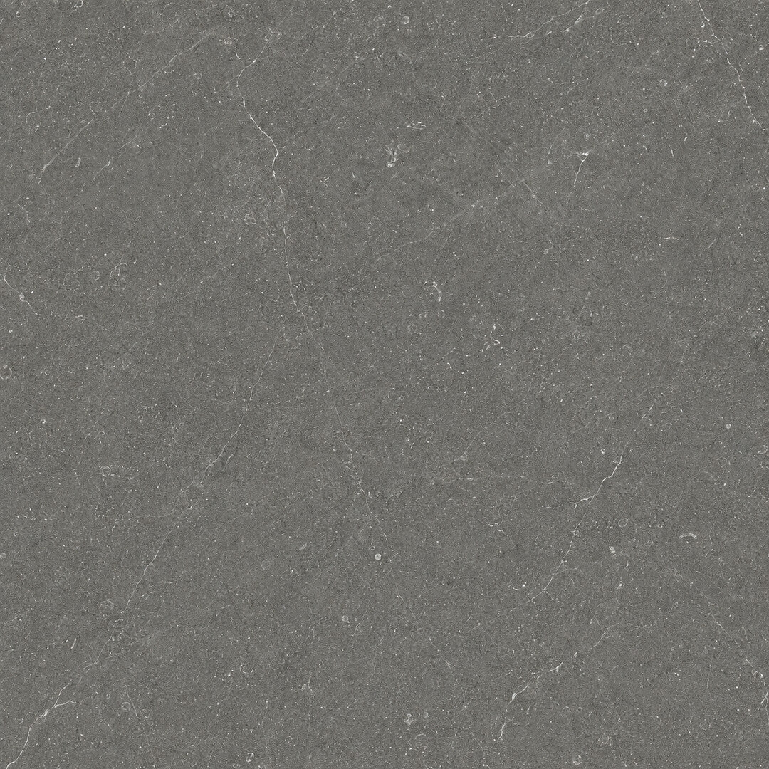 Argenta Bergstein Dark matt limestone-effect porcelain tile surface