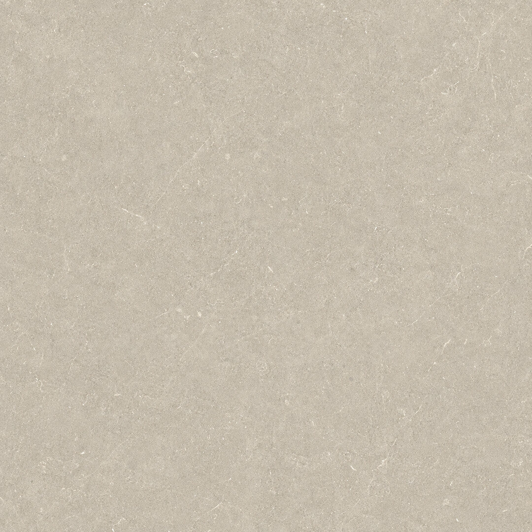 Argenta Bergstein Grey matt limestone-effect porcelain tile surface