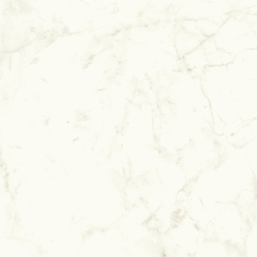 Marvel Shine Calacatta Delicato 2780x1200 porcelain slab