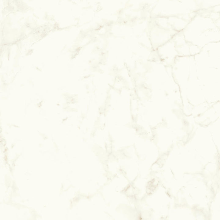 Marvel Shine Calacatta Delicato 2780x1200 porcelain slab